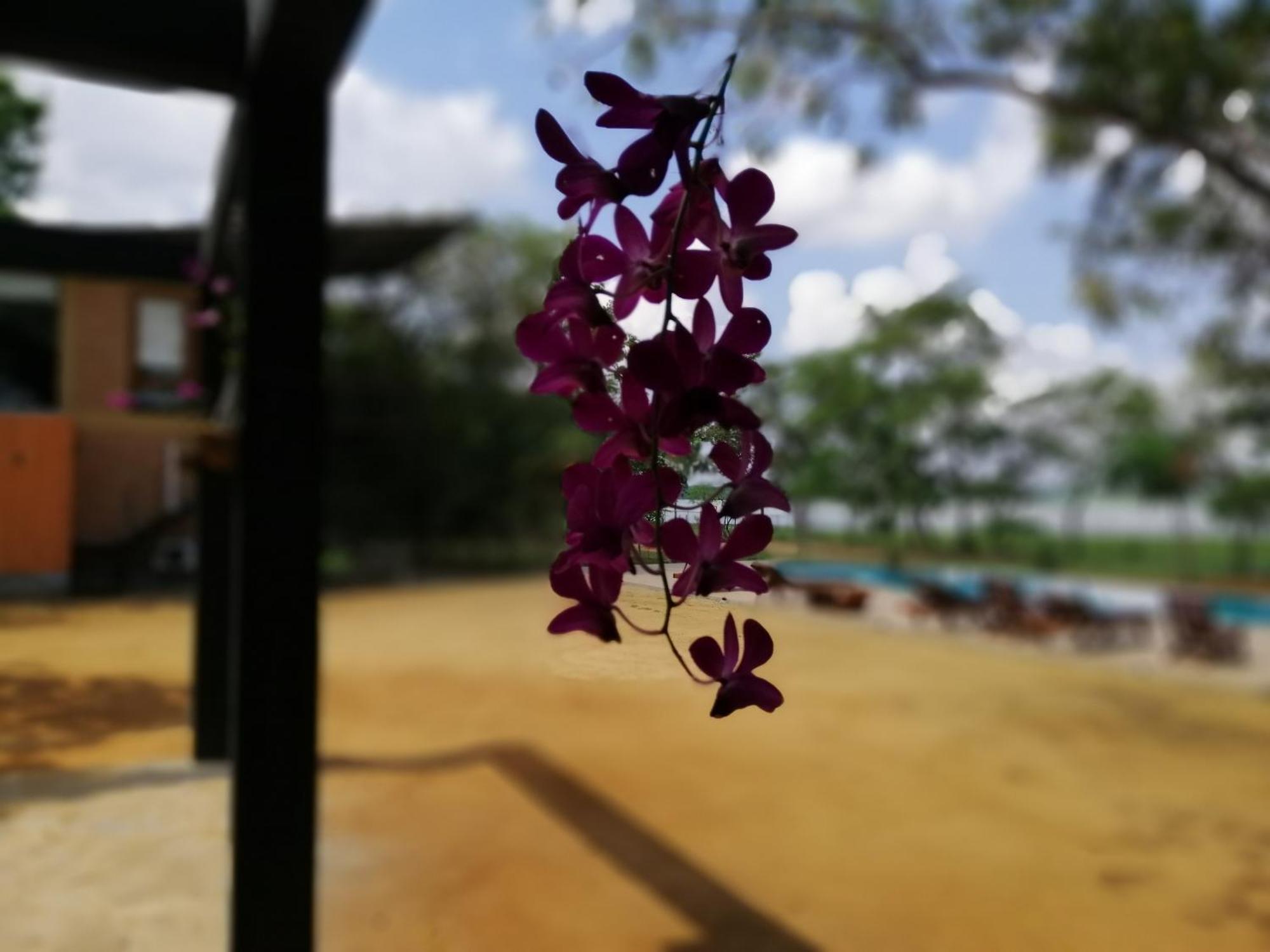 Breezy Lake Tissamaharama Exterior foto