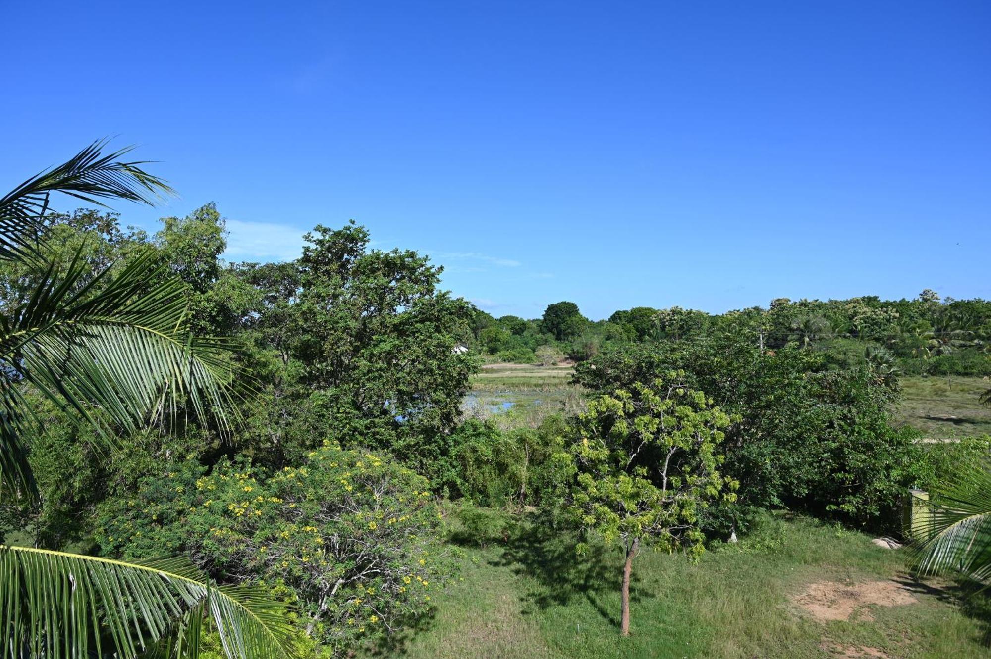 Breezy Lake Tissamaharama Exterior foto